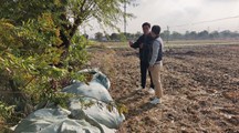 生态所科技人员赴松江区新浜镇指导水稻秸秆田边发酵技术应用