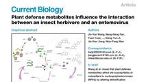 我院有益生物利用和有害生物防控团队在植物多样性影响病毒杀虫剂控害机制上取得进展