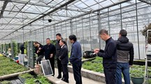 湖北省仙桃市人大常委会副主任一行到我院调研交流