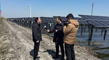 光伏池塘黄鳝网箱养殖技术指导助力江都水产养殖升级