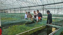 生态所科技人员赴靖江开展黄鳝绿色健康养殖技术指导