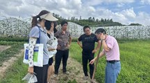 生态所专家团队深入浦东基地指导草莓绿色防控，科技护航种苗安全
