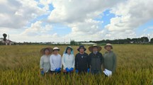 生态所杂草管理团队开展新一轮稻田杂草普查