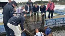 【先行区共建】生态所科技人员赴松江、金山区指导黄鳝养殖