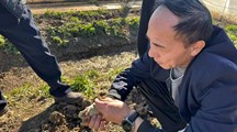 生态所科技人员赴崇明开展蟾蜍养殖技术指导
