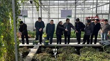 江西省余干县领导一行到访我院庄行综合试验站考察交流