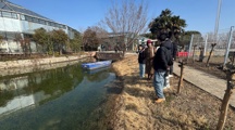 【先行区共建】生态所科技人员赴金山区廊下镇开展水质提升技术指导