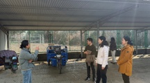 严抓安全护科研，喜迎新春保平安——生态所开展春节前安全生产专项检查