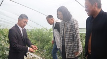 院党委副书记刘红率队赴嘉定调研 精准对接需求科技赋能乡村振兴