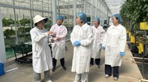 生态所害虫生态调控团队赴崇明区蔬菜基地开展半封闭温室害虫绿色防控技术交流指导