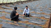 沪上农技专家赴宁城赋能 精准破解设施大棚土壤种植难题
