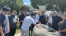 昆山市农业农村局来我院调研秸秆田边发酵技术示范应用