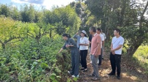 科技特派员在行动：沪明携手为大田农业“把脉开方”