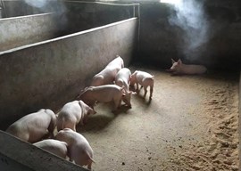 分散畜禽养殖无臭零排放资源循环利用技术