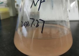 表面活性剂广谱降解微生物菌剂