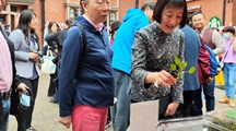 藜菜走进徐家汇网红社区