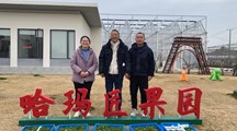 生物所科技人员为青浦哈玛匠果园提供桃树砧木扩繁种苗