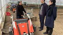 生物所科技人员赴奉贤汇吉农场开展藜菜种植调研与技术指导