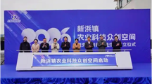 【上海乡村振兴】中国（上海）国际藜麦创新中心示范基地在松江新浜授牌