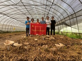 食用菌所育种学科支部赴祝桥镇开展田间党课活动
