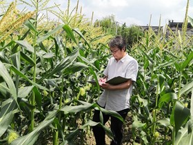 林金元　研究员