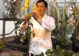杨立勇 研究员