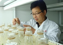 周熙荣 研究员