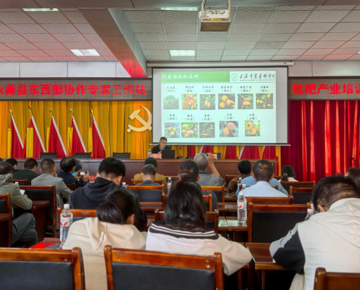 农科院科技人员应邀赴云南永善参加东西部协作枇杷产业培训会