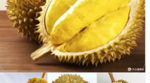 注意！越南出口鲜榴莲农药残留超标